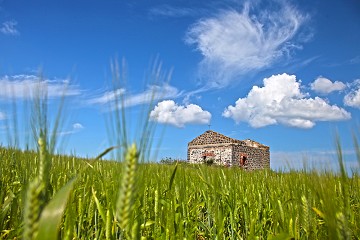 Cabras - Sinis - Sardinia