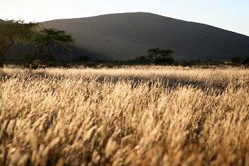 Kalahari Desert - South Africa