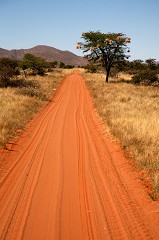 Kalahari Desert - South Africa